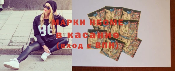 прущие грибы Новозыбков