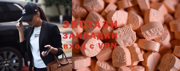 сатива Новодвинск