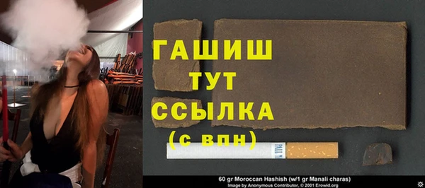 сатива Новодвинск
