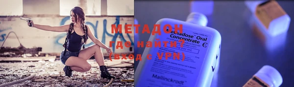 прущие грибы Новозыбков