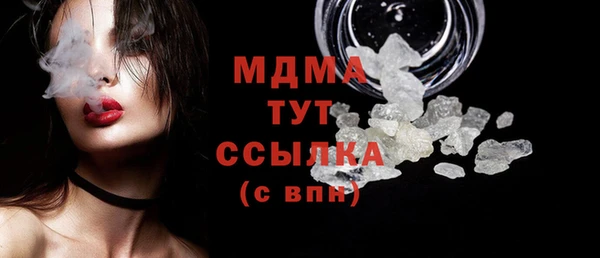 прущие грибы Новозыбков