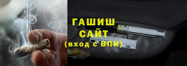 прущие грибы Новозыбков