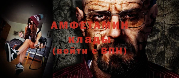 сатива Новодвинск