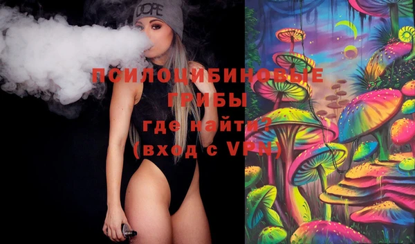 спайс Няндома
