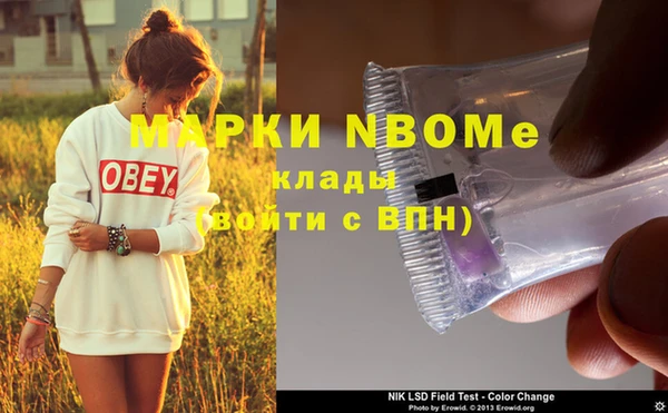 сатива Новодвинск