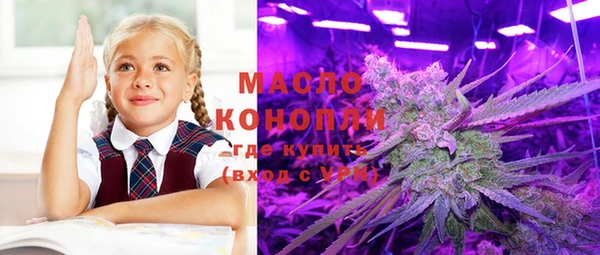 спайс Няндома