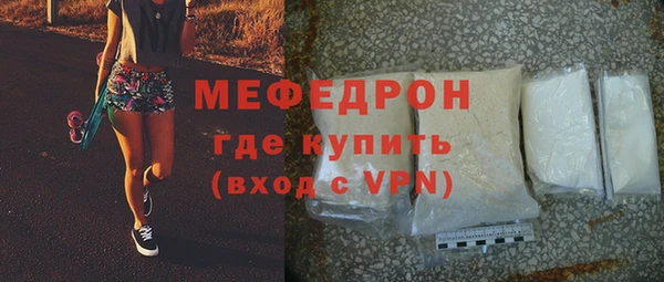 сатива Новодвинск