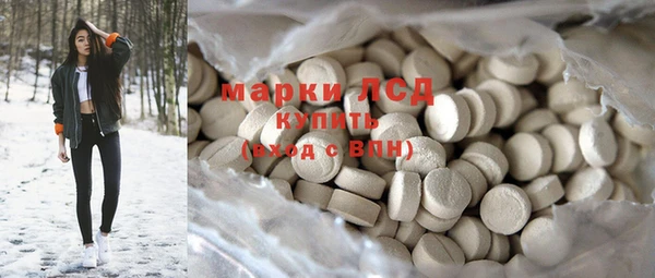 прущие грибы Новозыбков