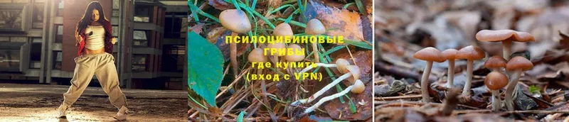 даркнет сайт  Закаменск  блэк спрут зеркало  Галлюциногенные грибы мухоморы 